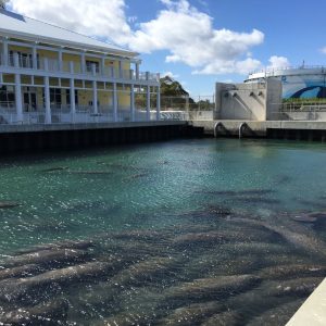 12633516 1694085524203292 1288517755076428865 o