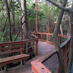 16657359042 00693d7ed4 b