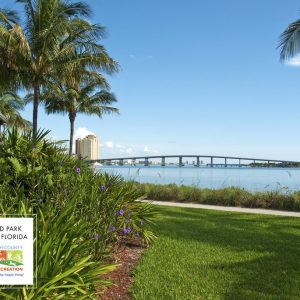 35451530175 aa7d71fc27 b