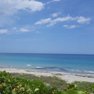 Ladder 38 40 Dog Beach in Jupiter2C Florida scaled