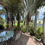 Backyard green area
